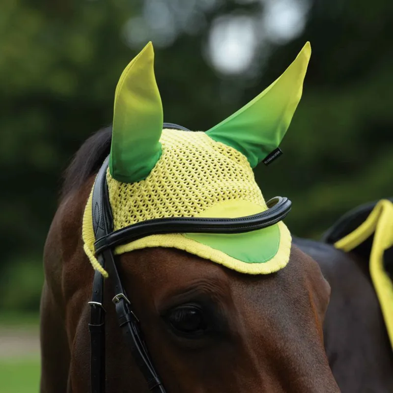 Weatherbeeta Prime Ombre Ear Bonnet - SUNFLOWER FIELD