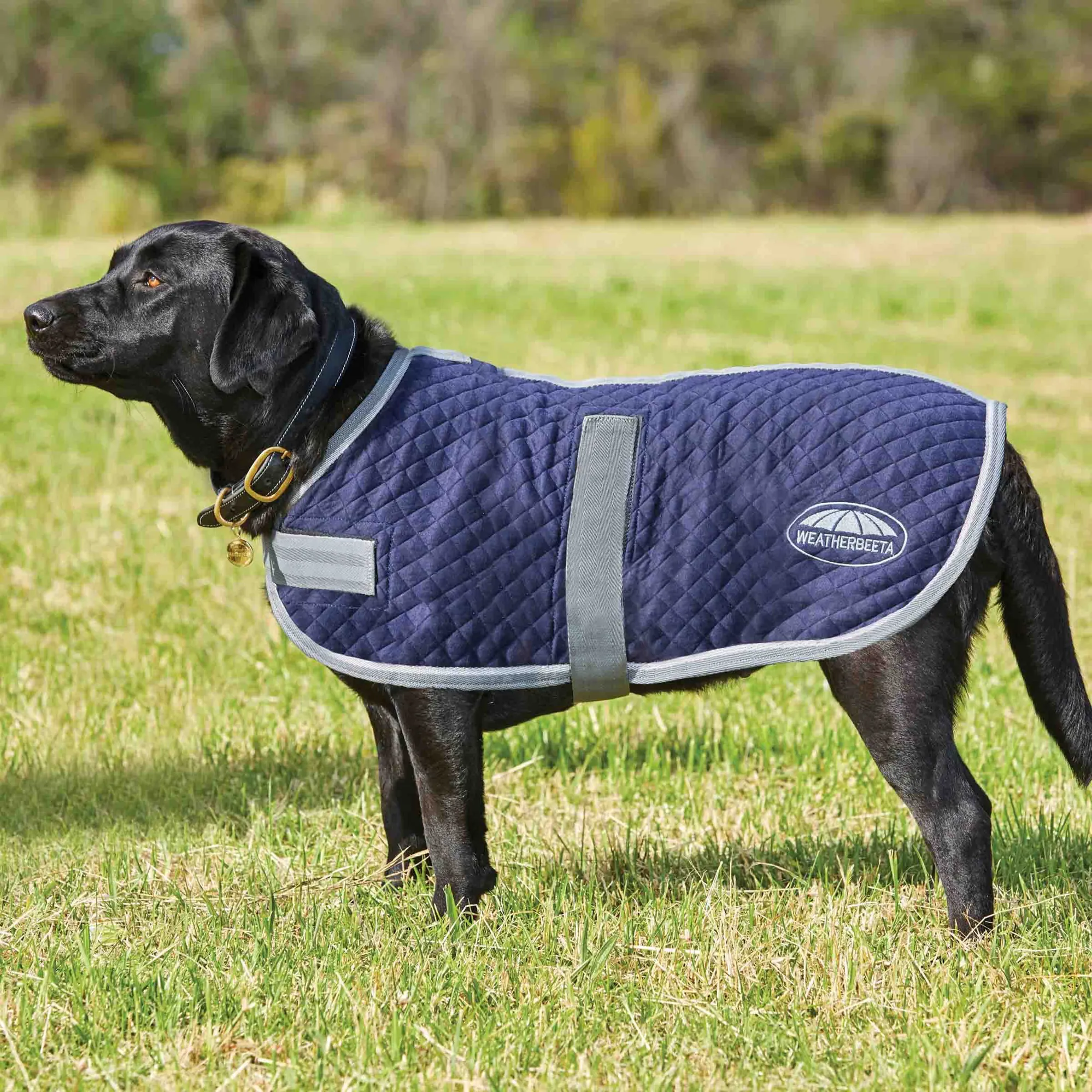 Weatherbeeta Thermic Dog Coat NAVY/GREY/WHITE - Main Image