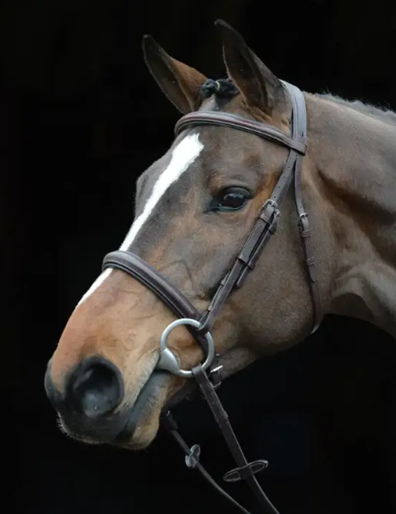 JUNE OFFER - Collegiate Comfort Crown Padded Raised Cavesson Bridle - BROWN - Pony