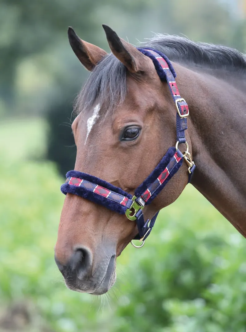Shires Polo Fleece Lined Headcollar - RED/NAVY