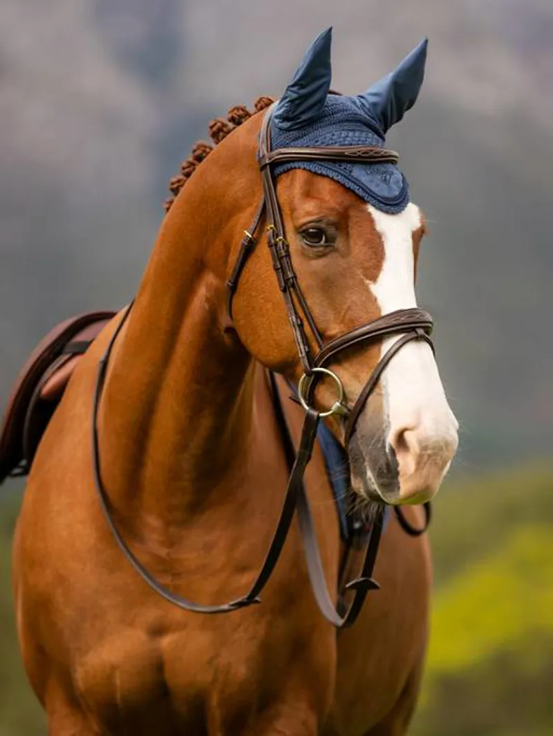 LeMieux Classic Fly Hood - ATLANTIC-1