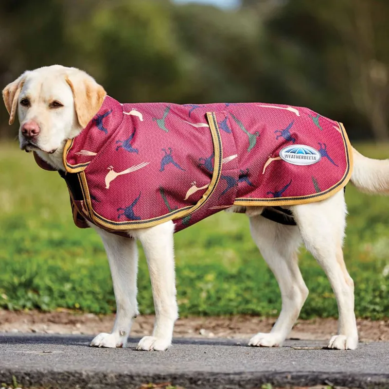 WeatherBeeta Comfitec Parka 1200D Deluxe Dog Coat Pheasant Print