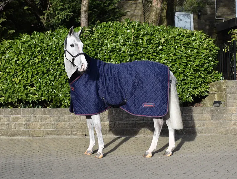 Whitaker 5' 9 Rastrick Cosy Stable Rug in Navy